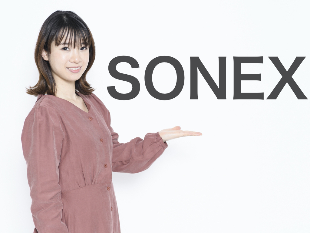 SONEX (ソネックス) 吸音材 OPYR-3 吸音材 10枚 61cm x 61 cm - 5